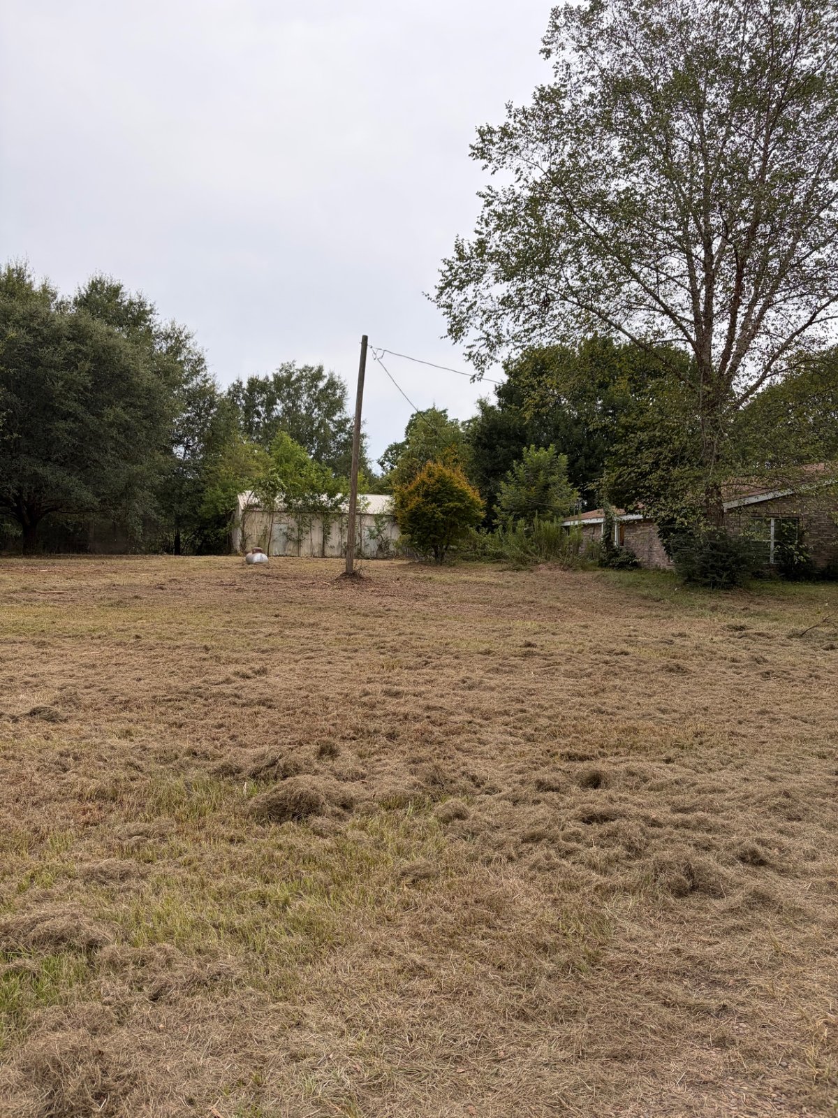 General Property Cleanup in the Hattiesburg Pine Belt