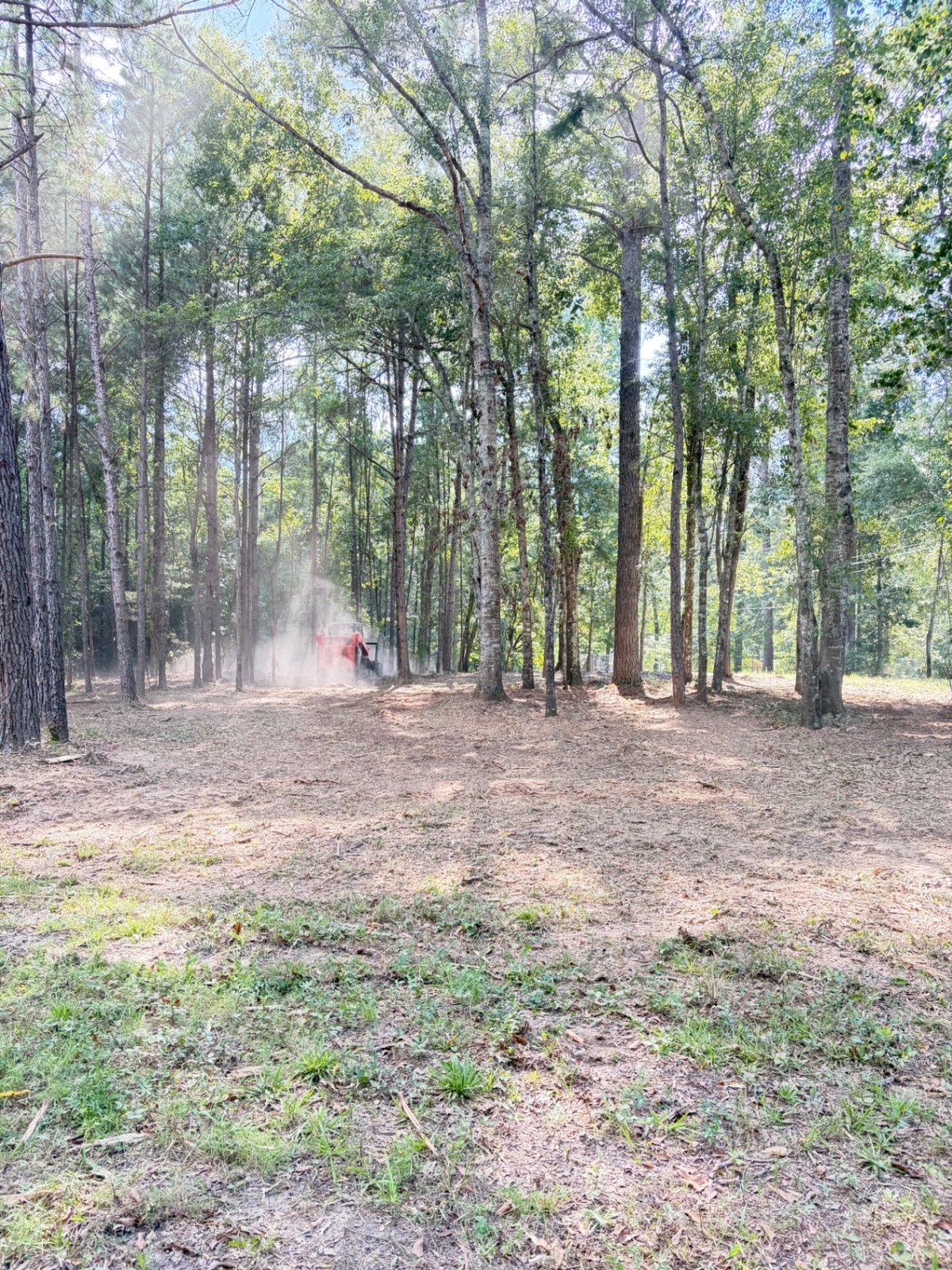 Brush Cutting in the Hattiesburg Pine Belt