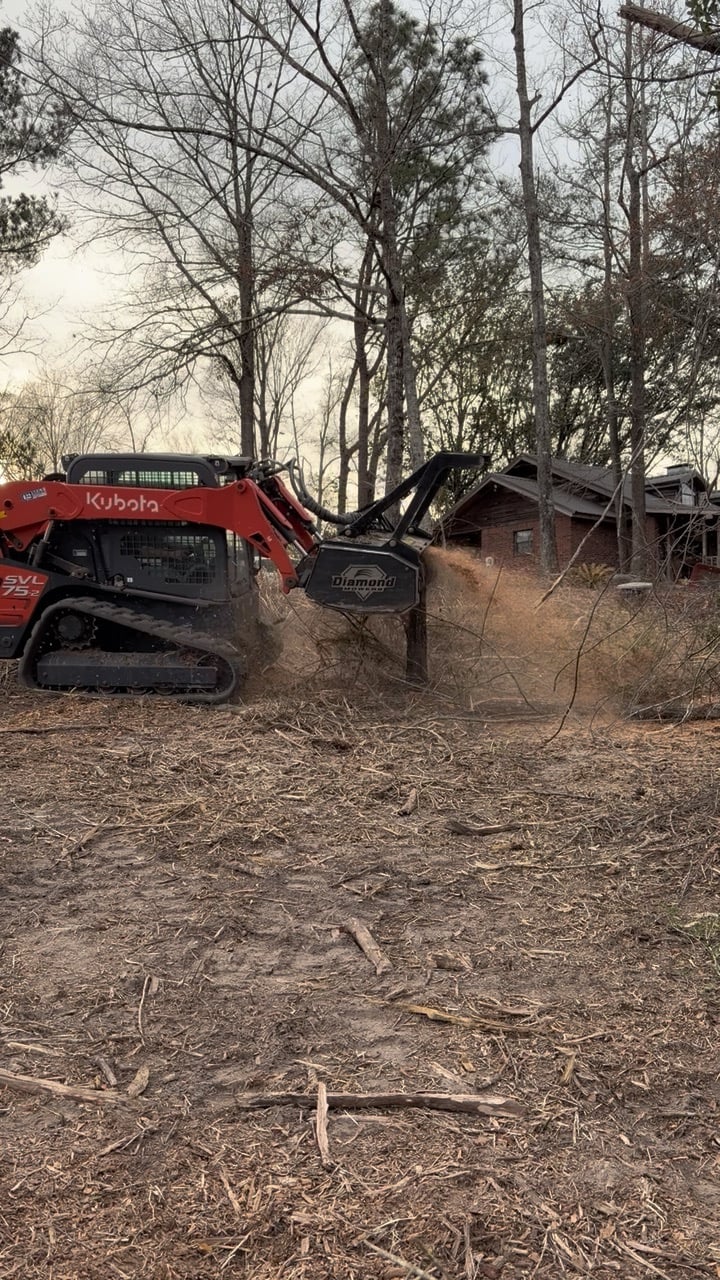 Forestry mulcher grinding brush beside a Hattiesburg home